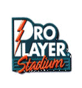 ProPlayer Stadium